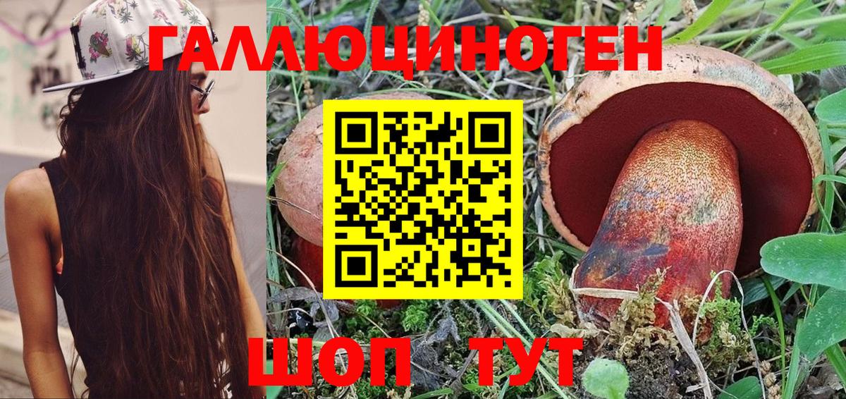 Галлюциногенные грибы Magic Shrooms  Вход с VPN  Галлюциногенные грибы Psilocybine cubensis  Переславль-Залесский 